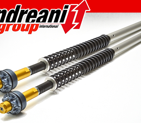 Yamaha R3 Andreani Fork Cartridge Kit