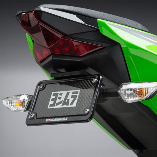 Ninja 250r fender eliminator clearance