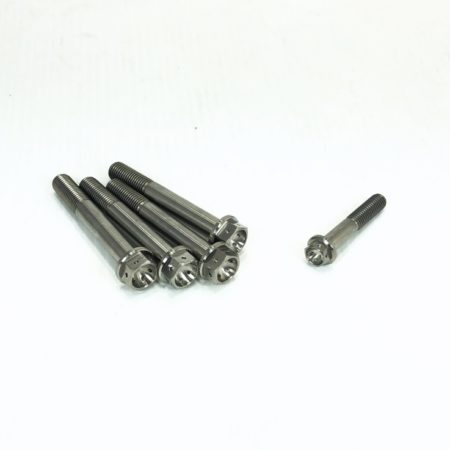 YR739 06 Titanium Drilled Front And Rear Caliper Bolts Yamaha R7